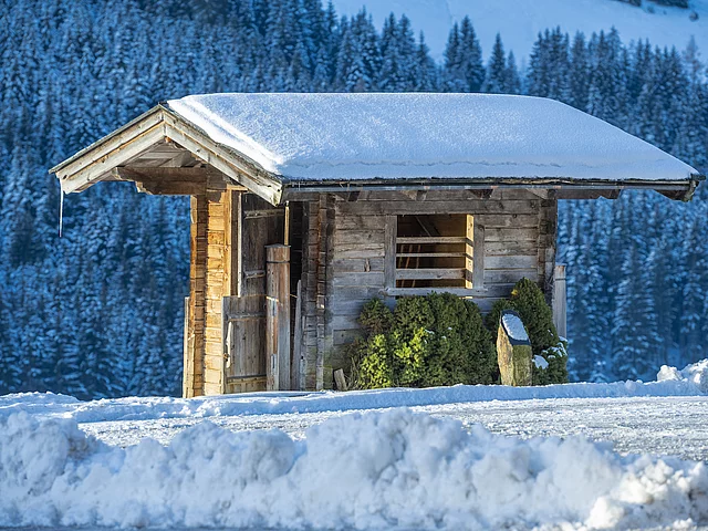 Hotel Vorderronach Hütte im Winter