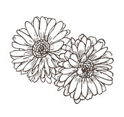 Blumen Grafik