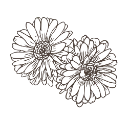 Blumen Grafik