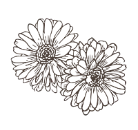 Blumen Grafik