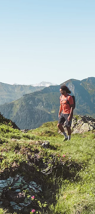 Der Sommer in Saalbach Wandern in Saalbach