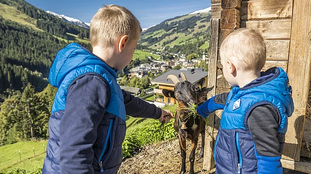 Kinder in Saalbach