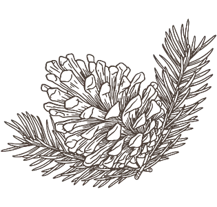 Winter Grafik