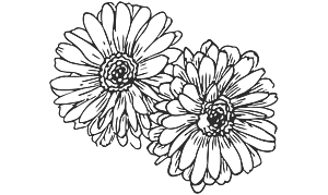 Blumen Grafik
